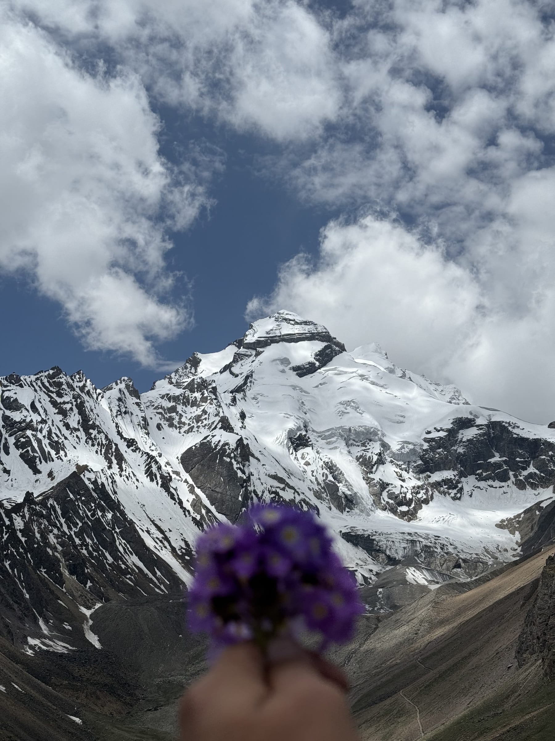 Adi Kailash & Om Parvat Yatra