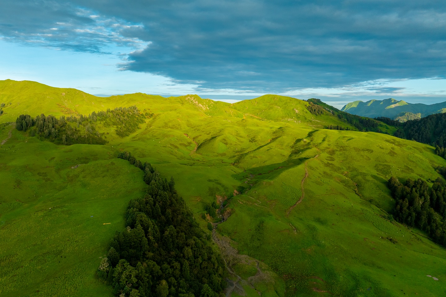 Dayara Bugyal in the green season — one of India's largest alpine meadows
