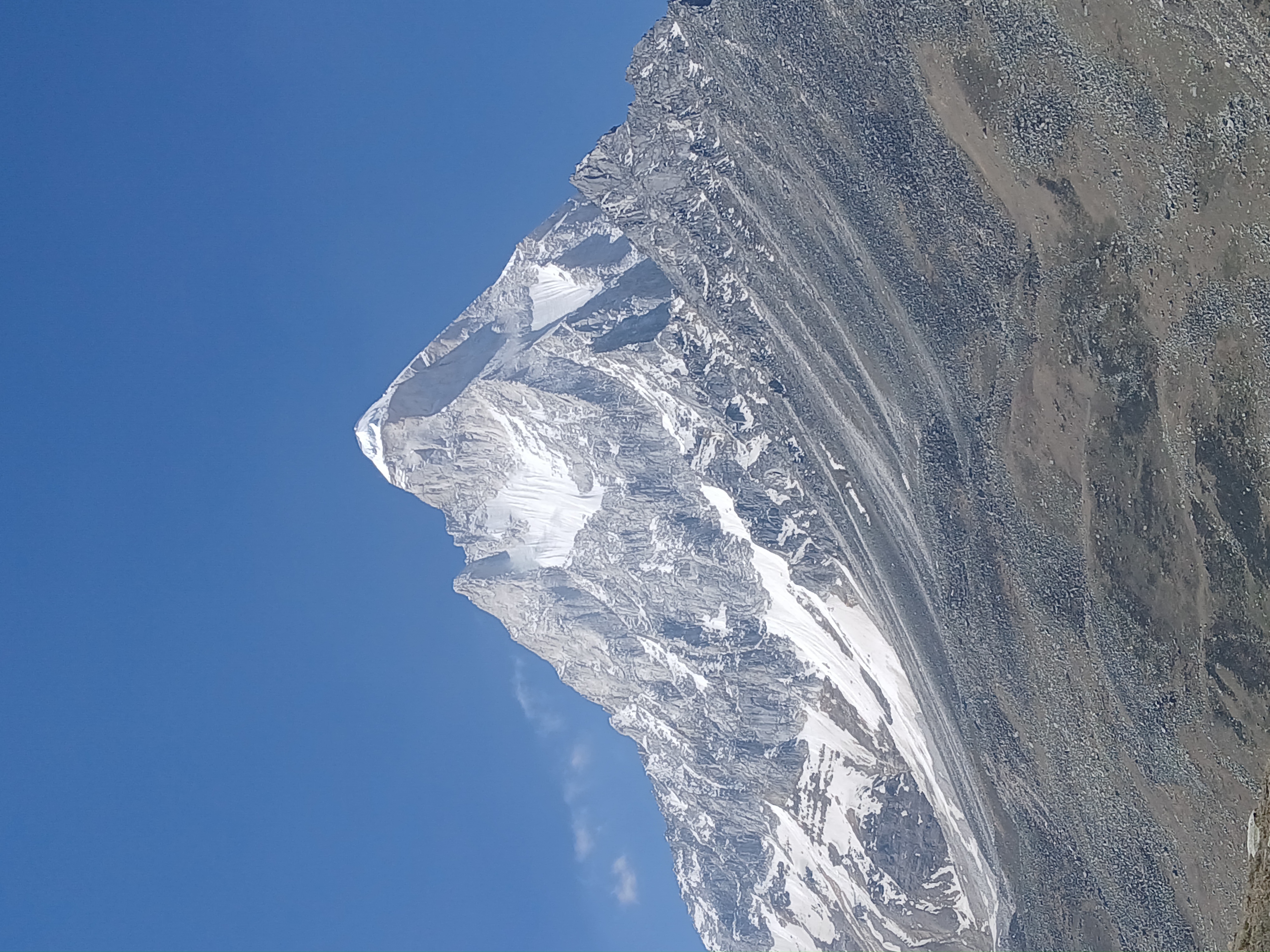 Gaumukh Tapovan