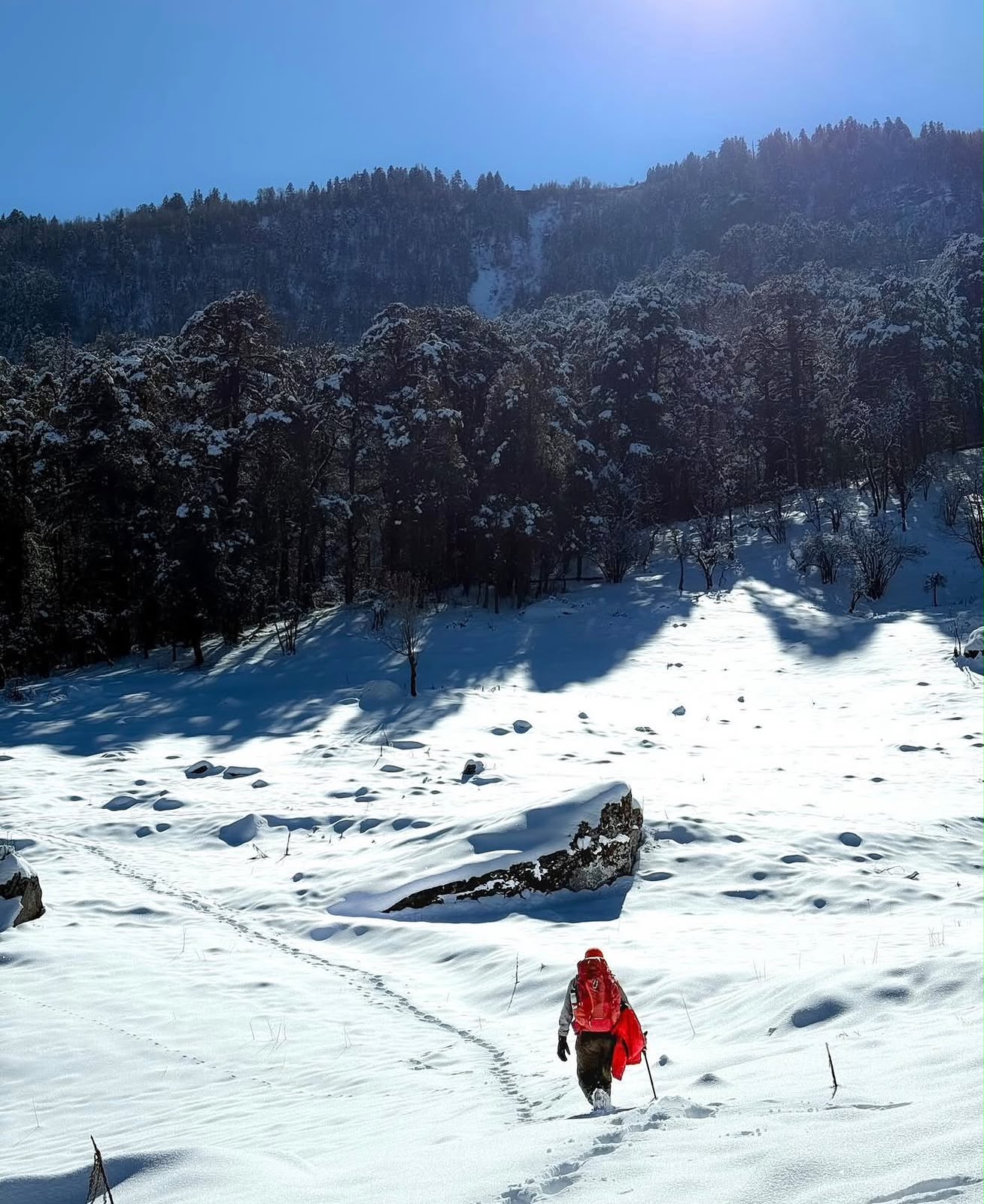 Crossing a snow clearing below the oak and pine forest