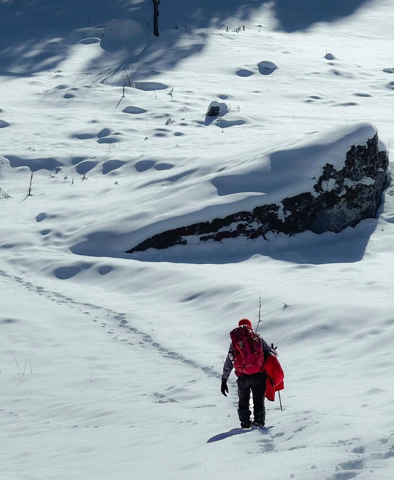 Breaking trail across fresh snow above the forest line
