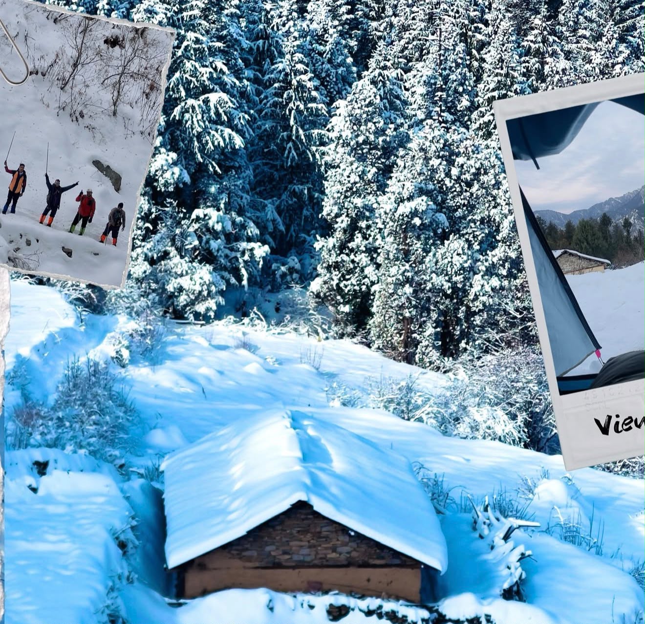 Snowbound huts and forest on the way up from Hanuman Chatti