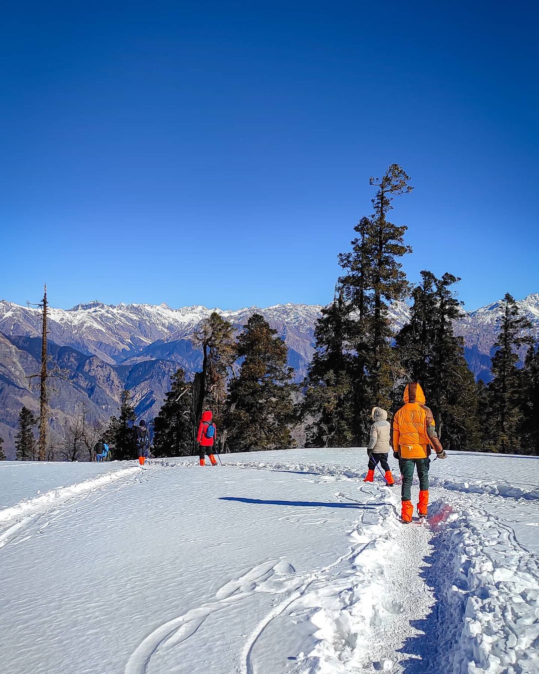 Kedarkantha Trek