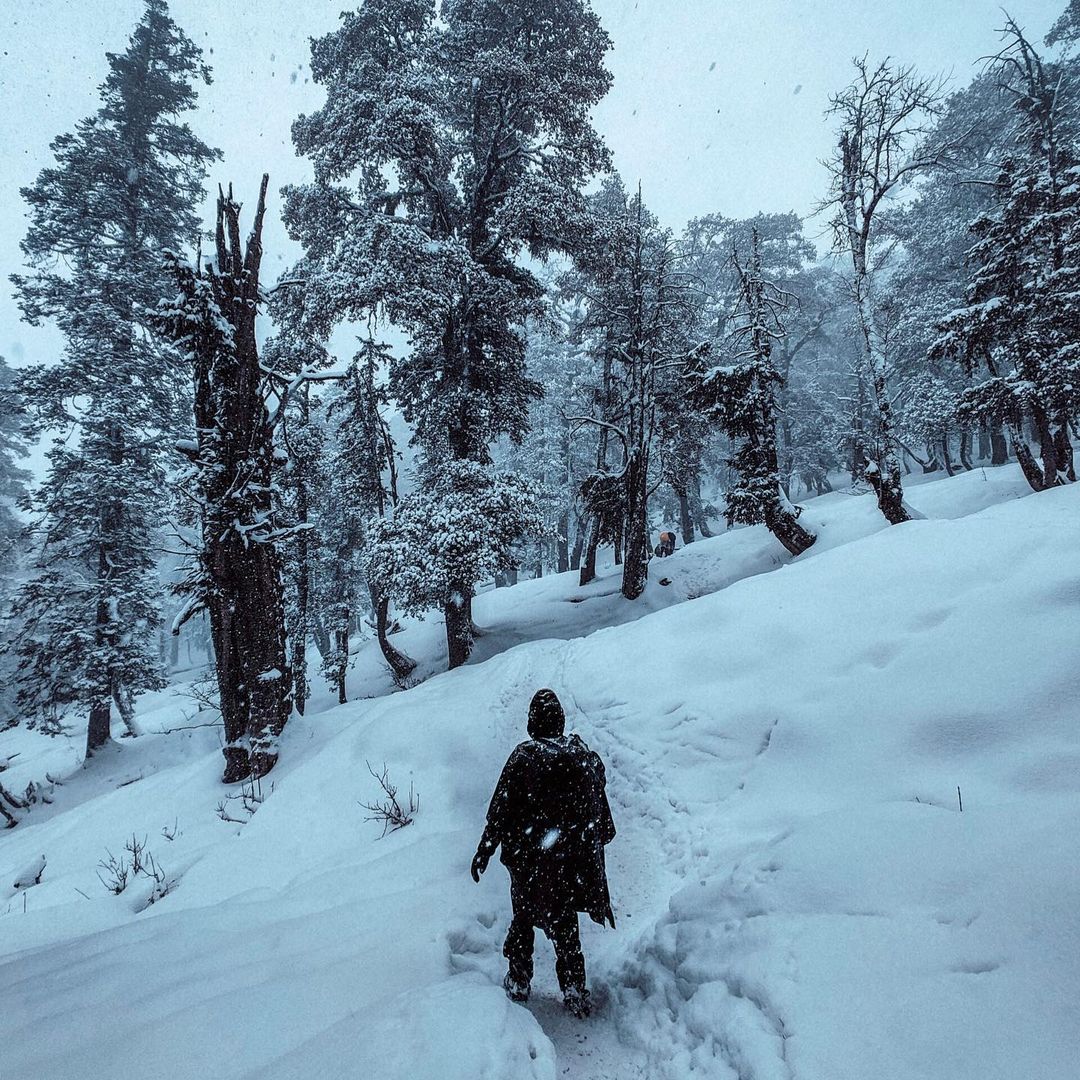 Kedarkantha Trek
