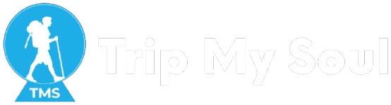 TripMySoul Logo