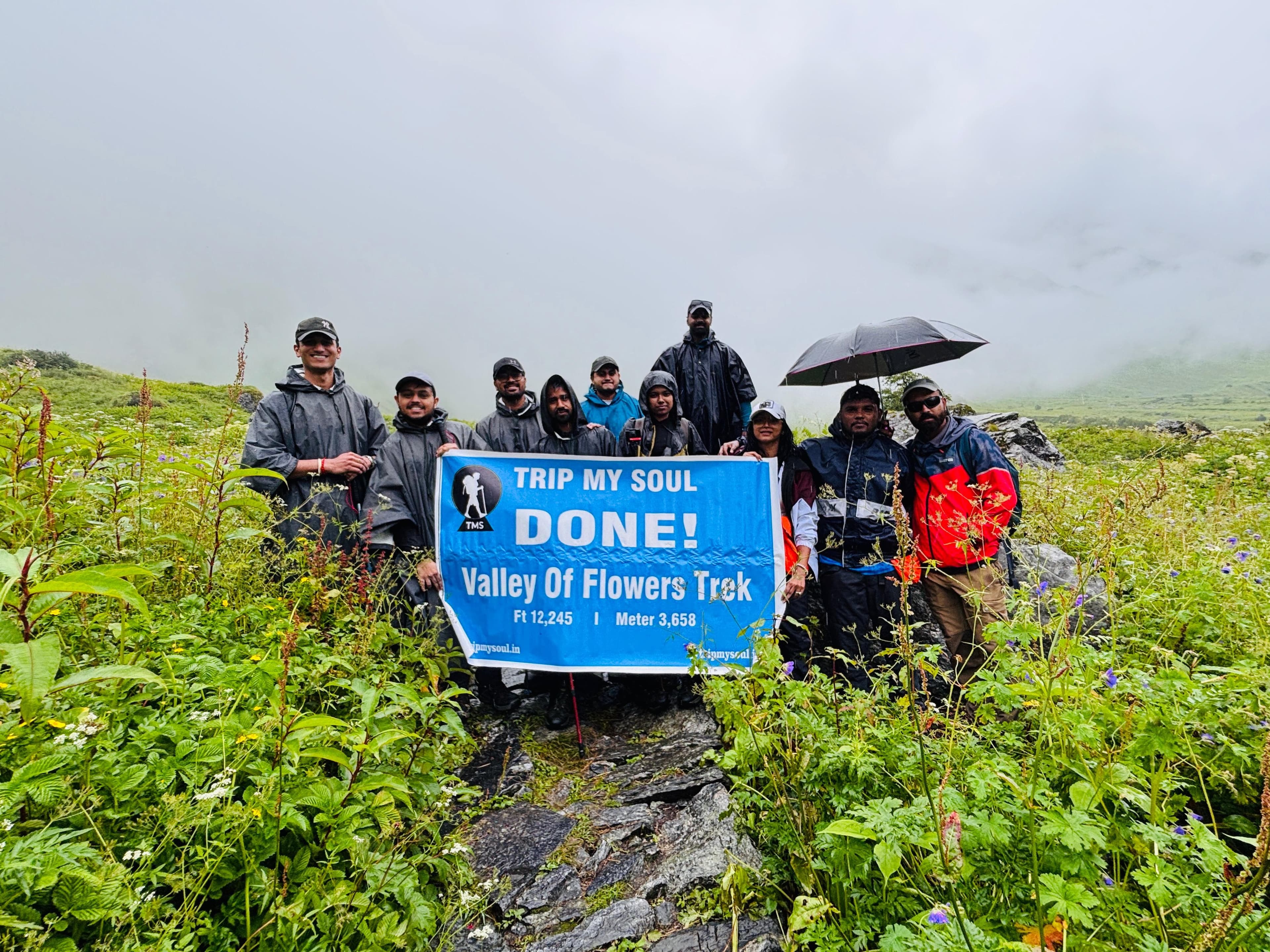 valley of flowerss09