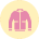 Rain Cover