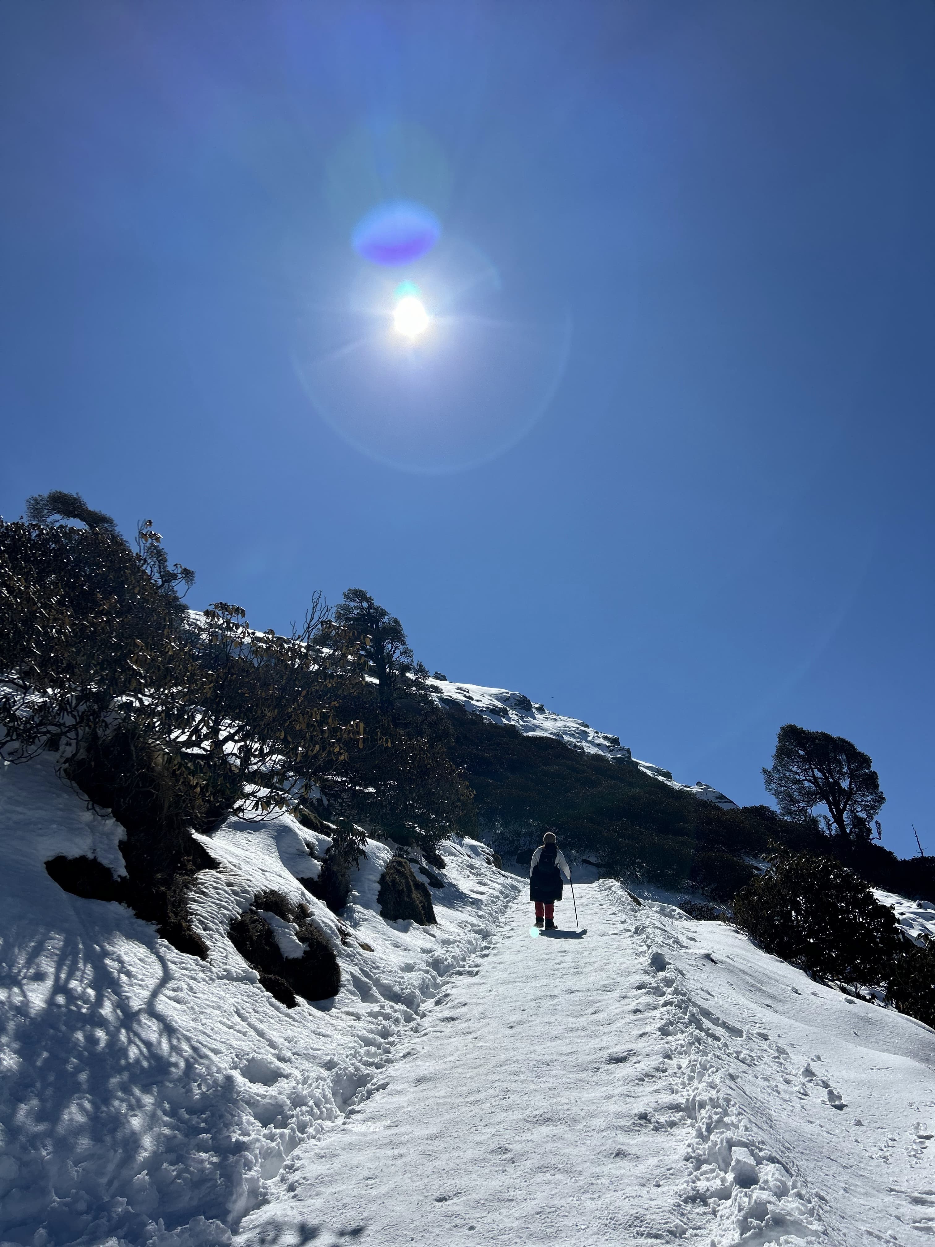 tungnath9